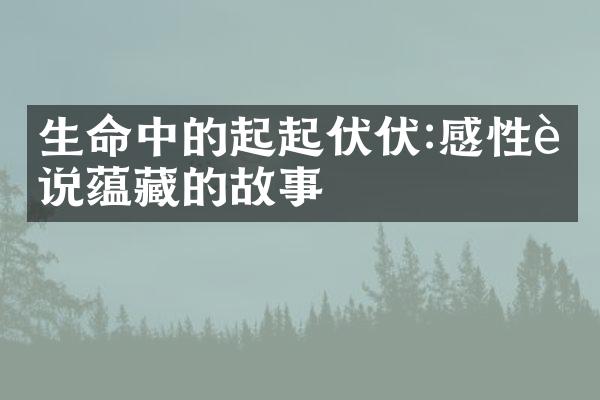 生命中的起起伏伏:感性诉说蕴藏的故事