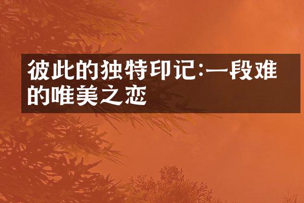 彼此的独特印记:一段难忘的唯美之恋