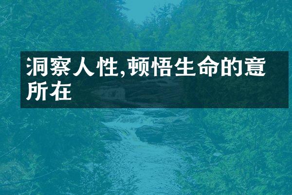 洞察人性,顿悟生命的意义所在
