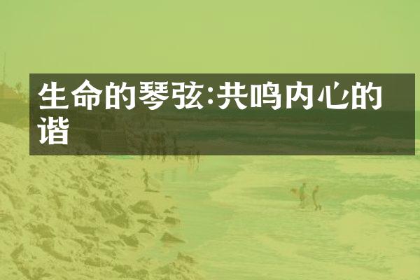 生命的琴弦:共鸣内心的和谐