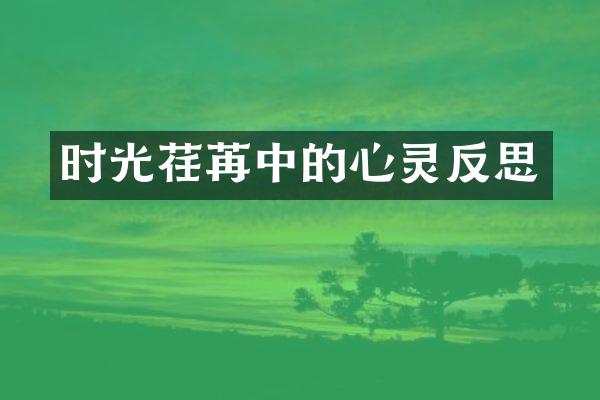 时光荏苒中的心灵反思