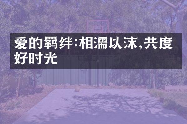 爱的羁绊:相濡以沫,共度美好时光