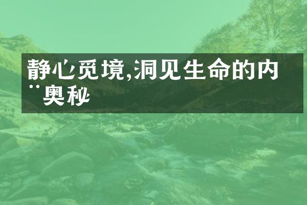 静心觅境,洞见生命的内在奥秘