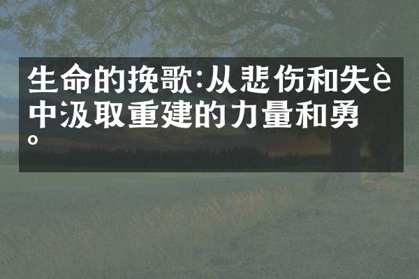 生命的挽歌:从悲伤和失落中汲取重建的力量和勇气