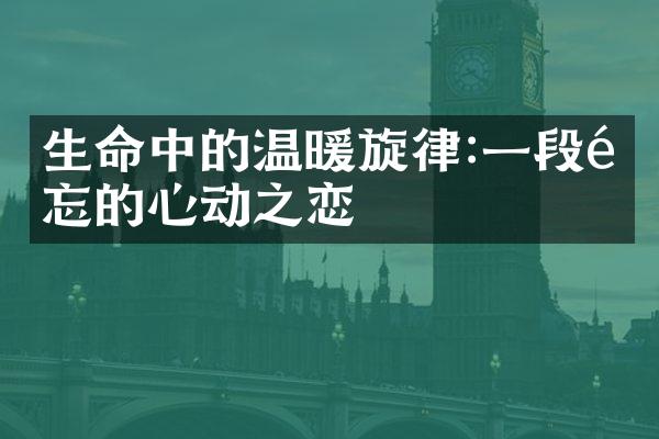 生命中的温暖旋律:一段难忘的心动之恋