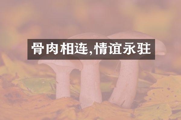 骨肉相连,情谊永驻