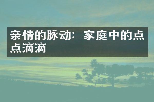 亲情的脉动：家庭中的点点滴滴