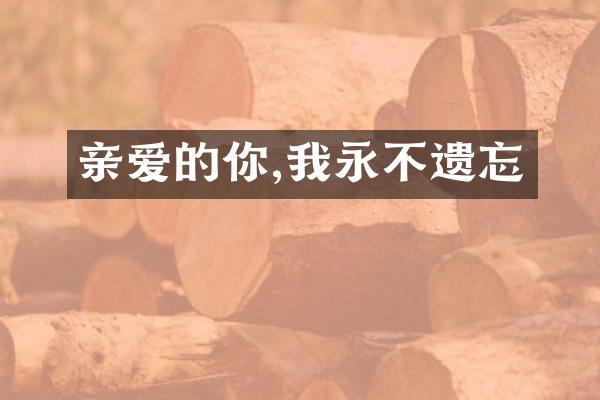 亲爱的你,我永不遗忘