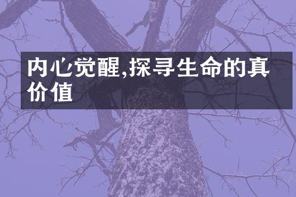 内心觉醒,探寻生命的真正价值