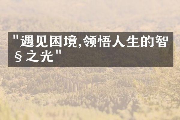 "遇见困境,领悟人生的智慧之光"