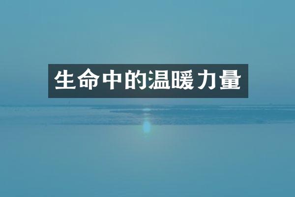 生命中的温暖力量