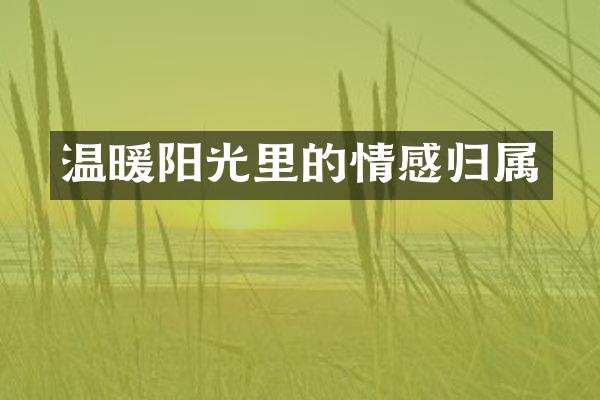 温暖阳光里的情感归属