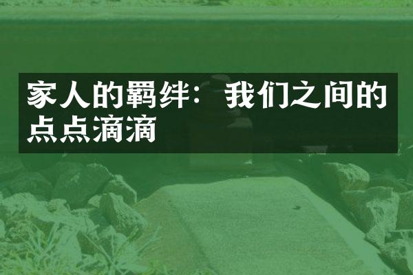 家人的羁绊：我们之间的点点滴滴