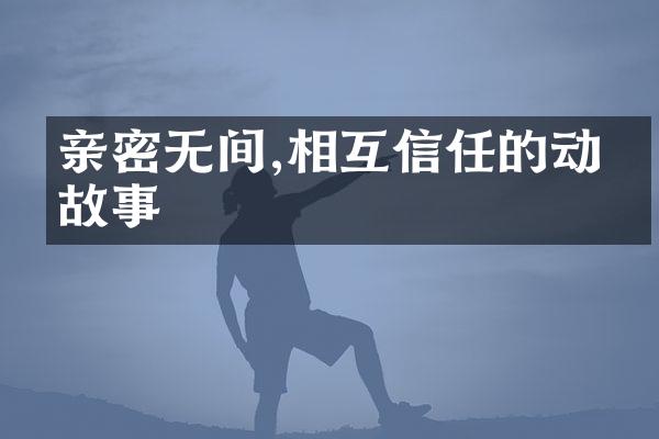 亲密无间,相互信任的动人故事
