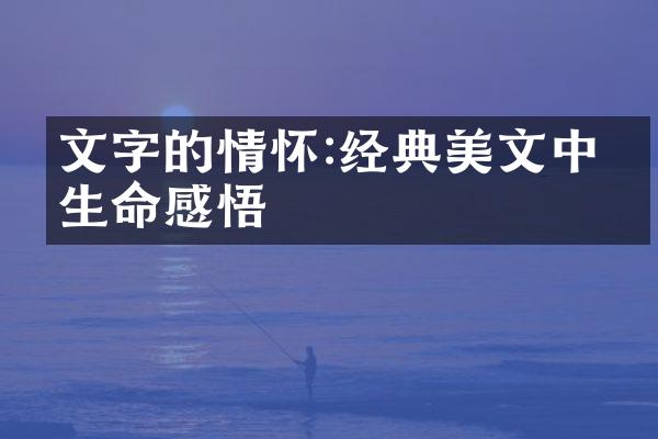 文字的情怀:经典美文中的生命感悟