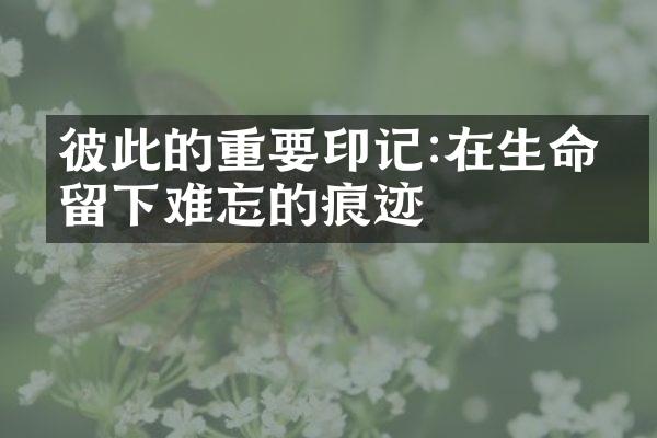 彼此的重要印记:在生命中留下难忘的痕迹