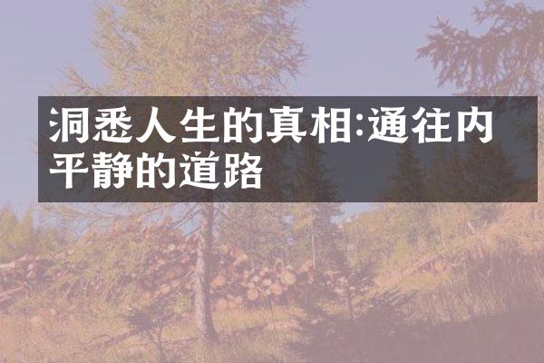 洞悉人生的真相:通往内心平静的道路