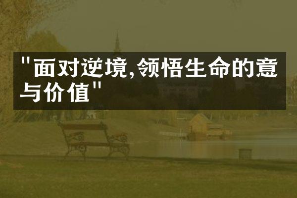 "面对逆境,领悟生命的意义与价值"