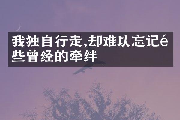 我独自行走,却难以忘记那些曾经的牵绊