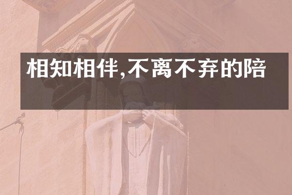 相知相伴,不离不弃的陪伴