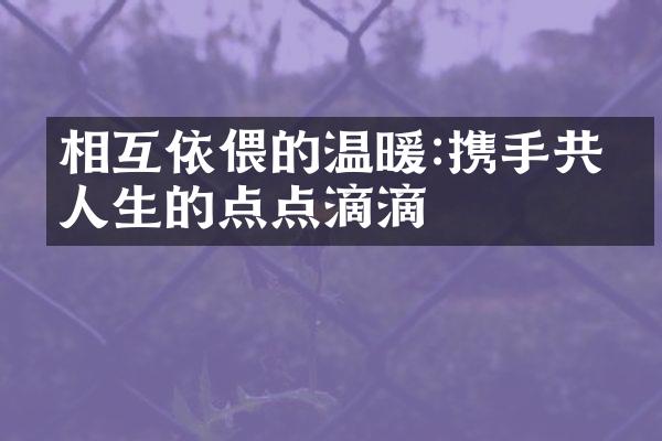 相互依偎的温暖:携手共渡人生的点点滴滴