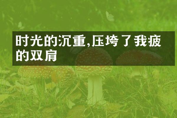 时光的沉重,压垮了我疲惫的双肩