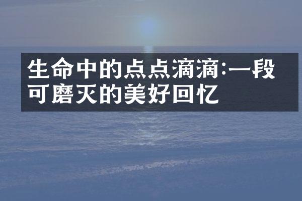 生命中的点点滴滴:一段不可磨灭的美好回忆