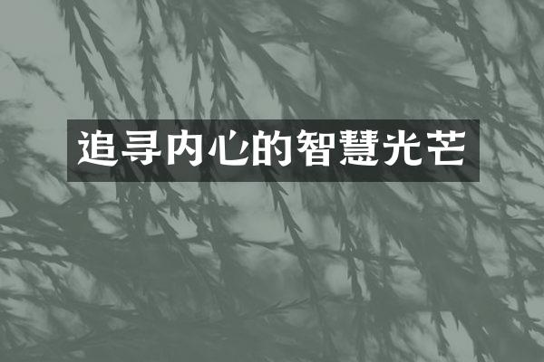 追寻内心的智慧光芒