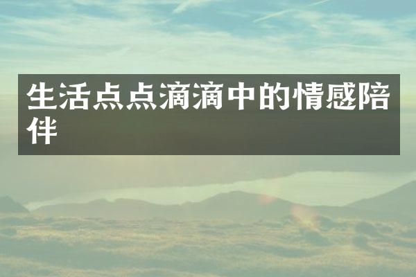 生活点点滴滴中的情感陪伴
