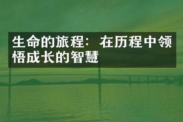 生命的旅程：在中领悟成长的智慧