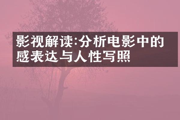 影视解读:分析电影中的情感表达与人性写照