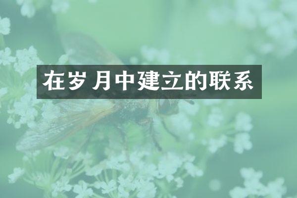 在岁月中建立的联系