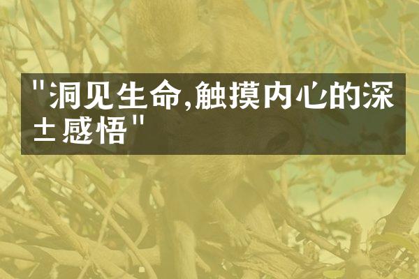 "洞见生命,触摸内心的深层感悟"