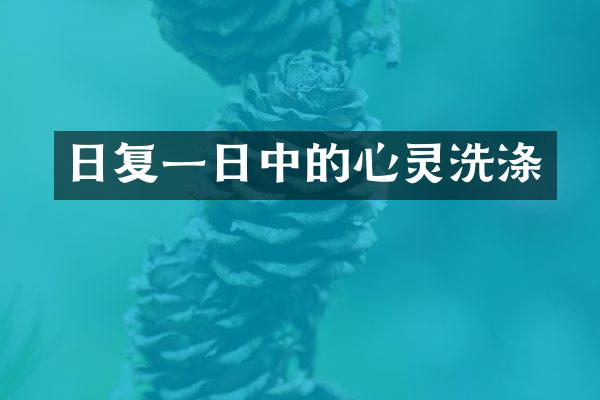 日复一日中的心灵洗涤