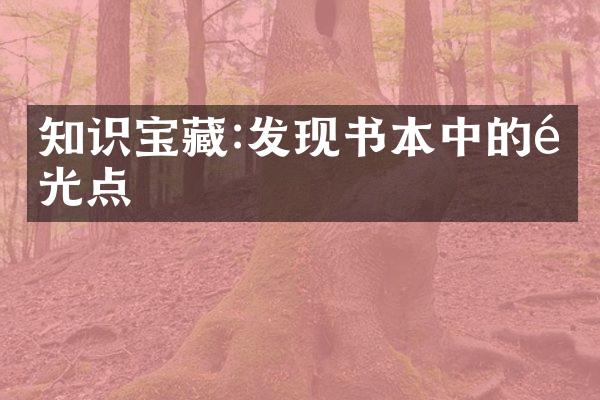 知识宝藏:发现书本中的闪光点