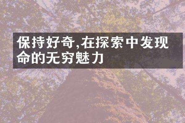 保持好奇,在探索中发现生命的无穷魅力