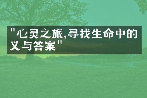 "心灵之旅,寻找生命中的意义与答案"