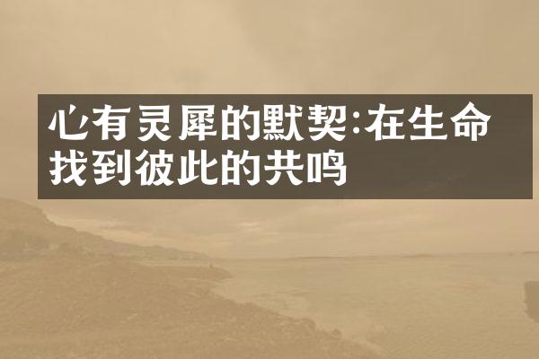 心有灵犀的默契:在生命中找到彼此的共鸣