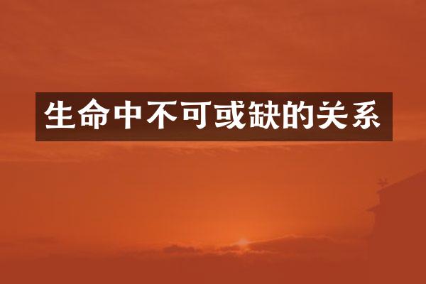 生命中不可或缺的关系