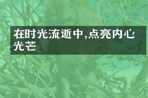 在时光流逝中,点亮内心的光芒