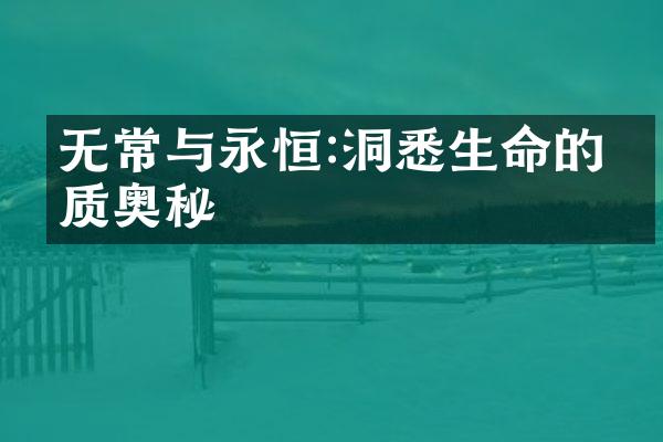 无常与永恒:洞悉生命的本质奥秘