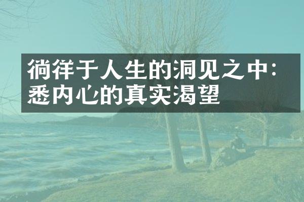 徜徉于人生的洞见之中:洞悉内心的真实渴望
