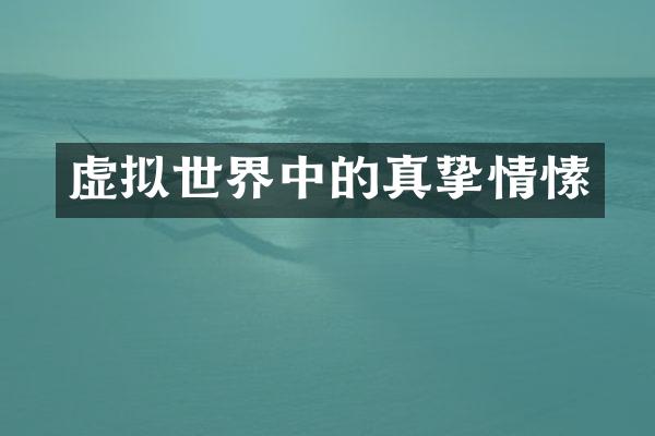 虚拟世界中的真挚情愫