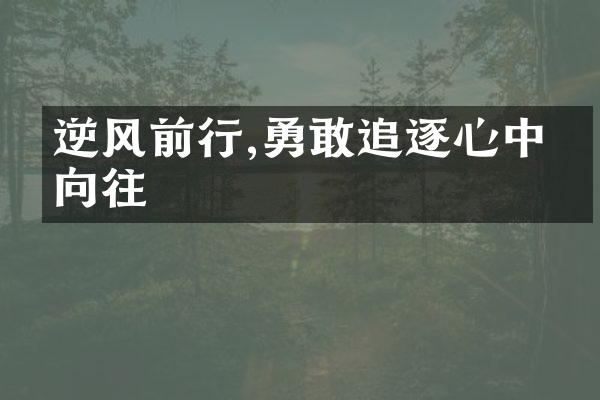 逆风前行,勇敢追逐心中的向往