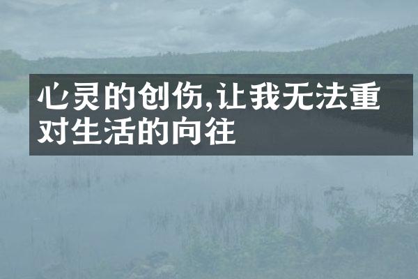 心灵的创伤,让我无法重拾对生活的向往