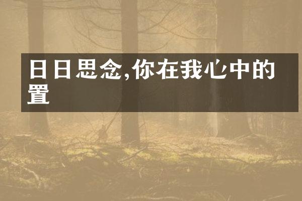 日日思念,你在我心中的位置