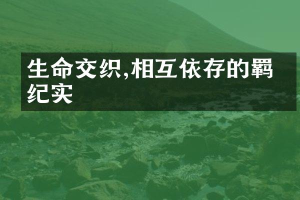 生命交织,相互依存的羁绊纪实