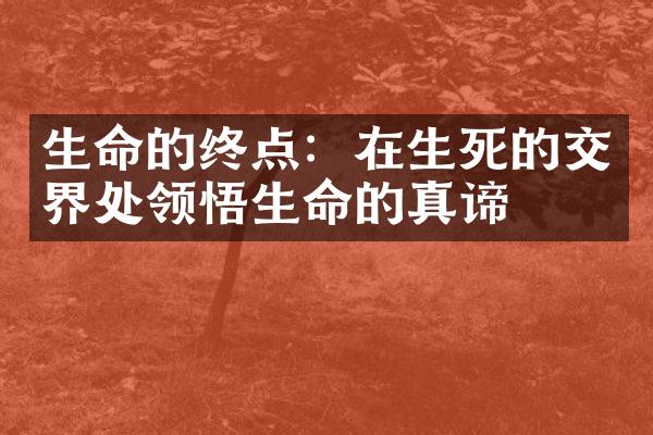 生命的终点：在生死的交界处领悟生命的真谛