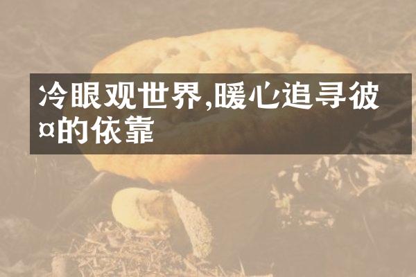 冷眼观世界,暖心追寻彼此的依靠