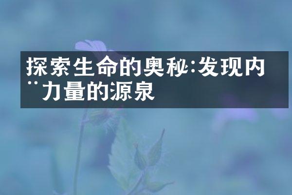 探索生命的奥秘:发现内在力量的源泉
